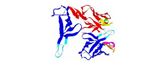 blog-image